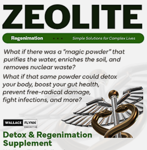 zeolite detox supplement