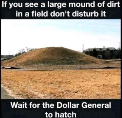 image_DD34B11A-A319-4175-BA21-152FC08B7F0B