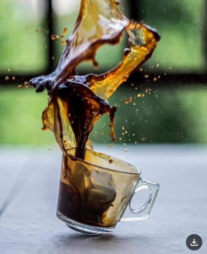 9f0e58d2-4976-4209-9698-dd20b46bfb57