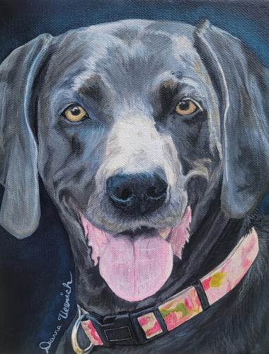 Screenshot_20230818_074110