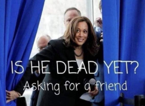 image_2024-07-06_175219226