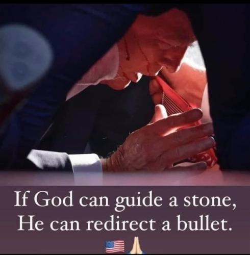 c8e0c799-3f5c-4fb5-848b-85a326a53318