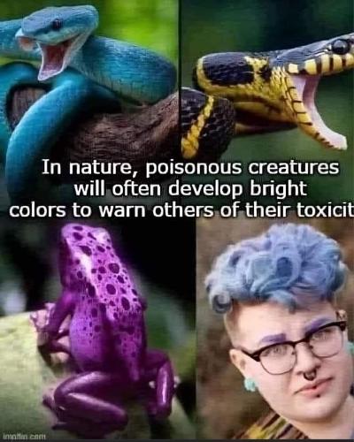 FB_IMG_1719671739959