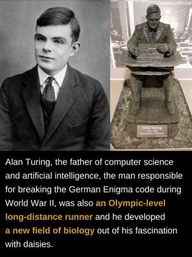 452169183_896519795838780_8289569560600257348_n