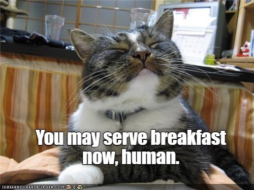 you-may-serve-breakfast-now-human