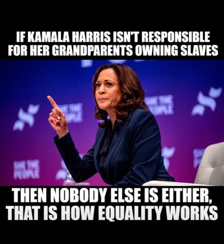 Screenshot_20240730_085638_Wimkin Free Speech Social Media