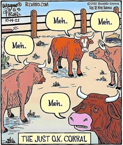 image_23847DF3-CADE-456E-B61F-842E885922D6