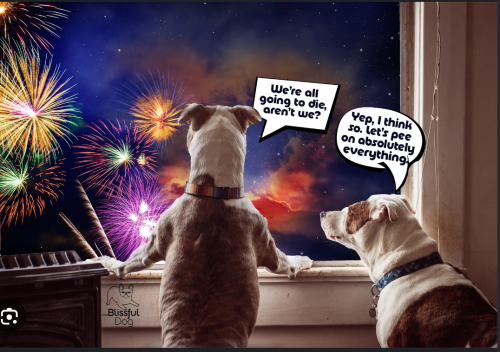 Dogs 4th of July peeing