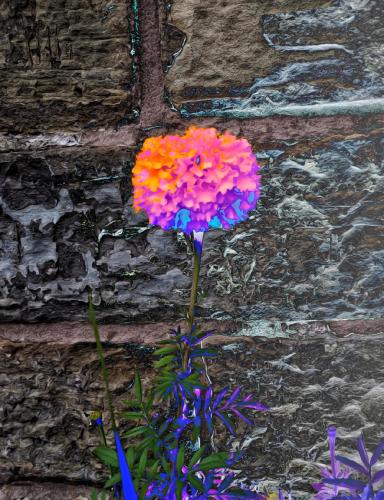 2491330c-f0b5-41d7-8c63-d1a88bda2ad8