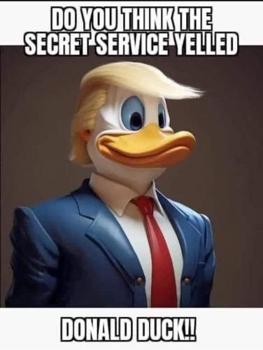 image_C4482C98-852E-4887-B054-C370EAC3A82F