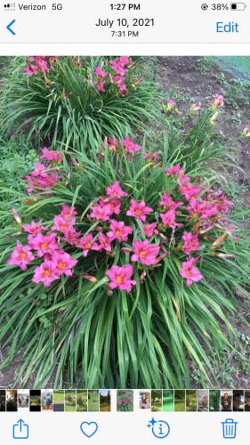 5F8544D5-2584-43E8-B906-FFBEDB316F3F