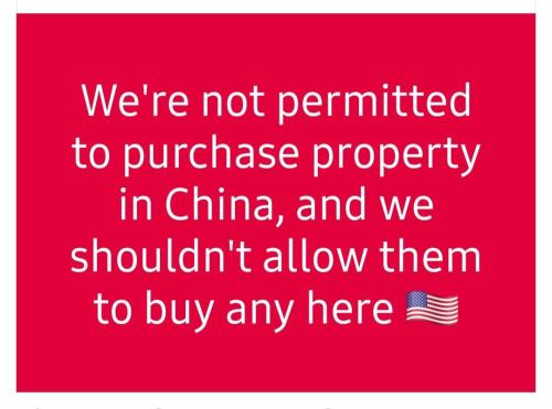 IMG_20240713_110901_751