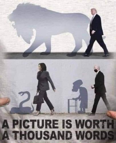 true self in the shadows