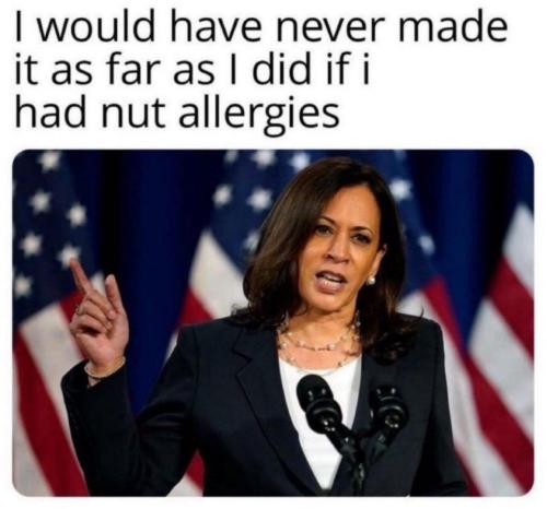 image_C3D5DBC0-BA94-4DBE-8D7B-ED79AE2738C4