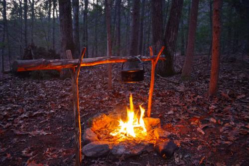 Wilderness fire cooking survival