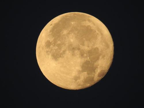 4de34931-c232-41c3-a3c1-de8673a29d79