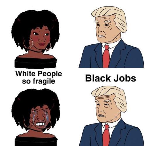 image_7627C90F-697A-4B43-9724-EB922242E2C8