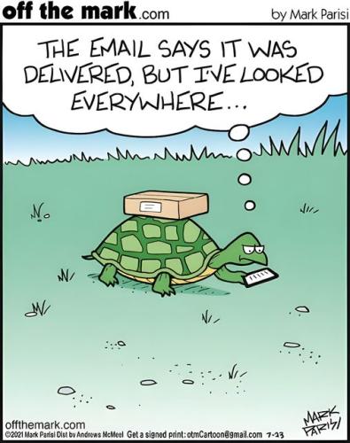 449396239_122154788132225345_3386139930609497948_n