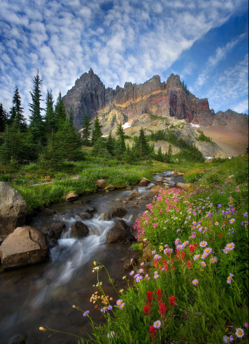 Oregon's Three Fingered Jack Peak