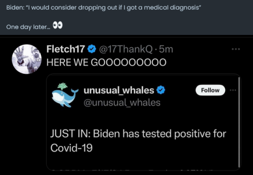 xephula_31888069efeb68954633ad204bbca373