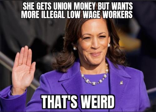 image_B11F9356-347E-41D2-A1C7-28346C530A84