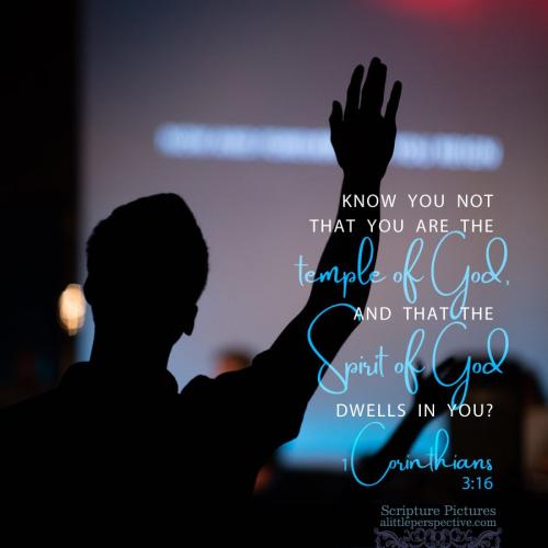 FAITH - 1 Corinthians 3.16 KJV