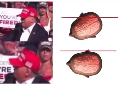 2e9f9cdd-af35-44fa-a989-579a2fdaa46d