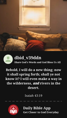 2024-07-051720227799256