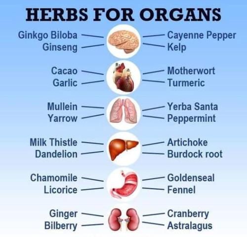 ,                          ,