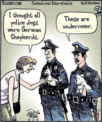 449930040_7843844332329079_7407614333480115326_n