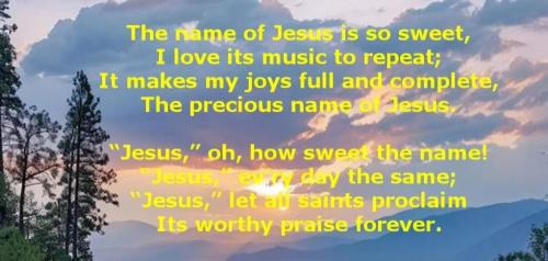 8cb2ac1d-7400-440c-905f-b56d2f6d1785