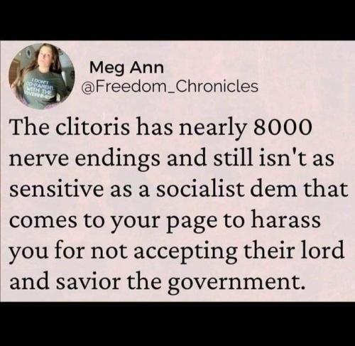 IMG_20240725_025637_190