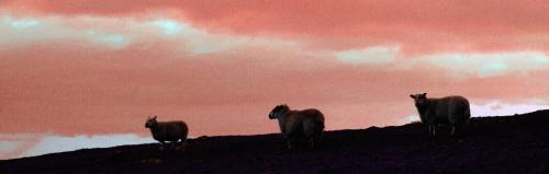 PicsArt_02-17-04.54.15~2