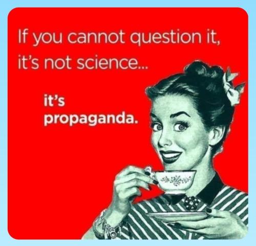 IMG_20240710_110830_610