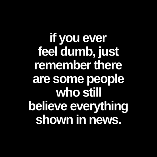 image_2024-07-29_064758859