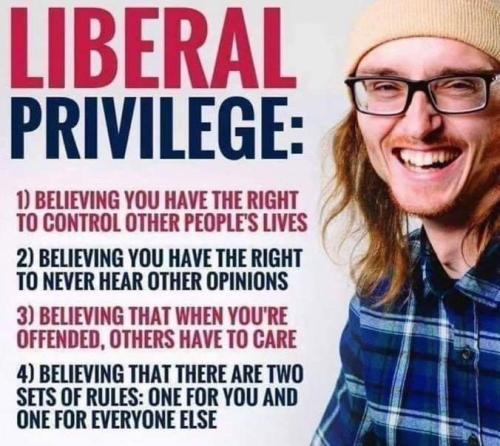 IMG_20240701_095045_544