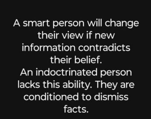 image_2024-07-10_101819320