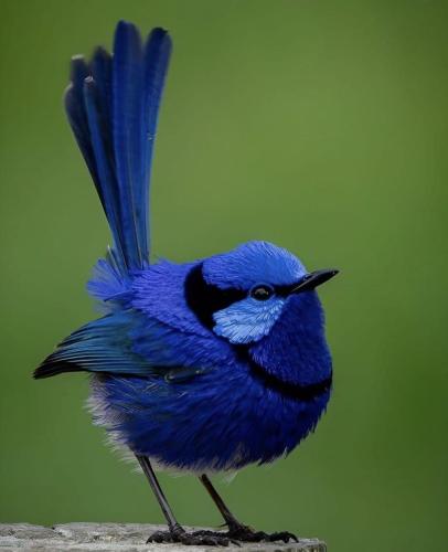 img-872b9506