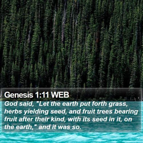 Genesis 1_11