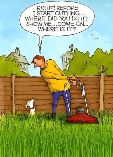 450068663_333141123206213_965080028478111383_n