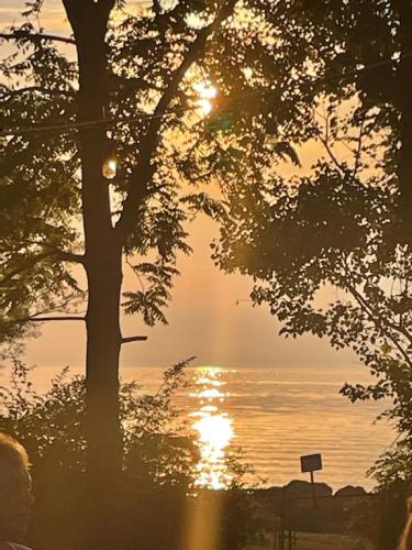 C8D62BC6-A902-4C1E-A8CA-D22CF00AE497