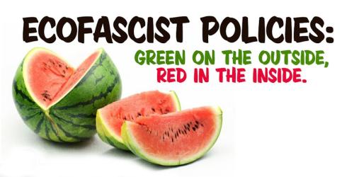 Ecofascist Policies