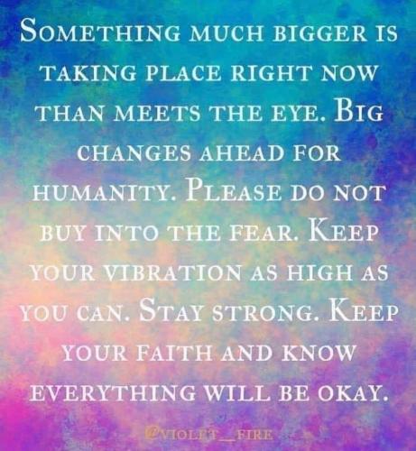 IMG_20240714_210210_586