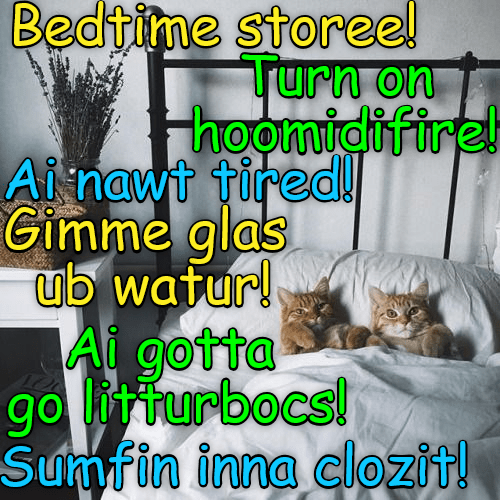 and-dont-forget-to-check-for-monsters-under-the-bed