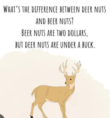 IMG_20240718_093432_273