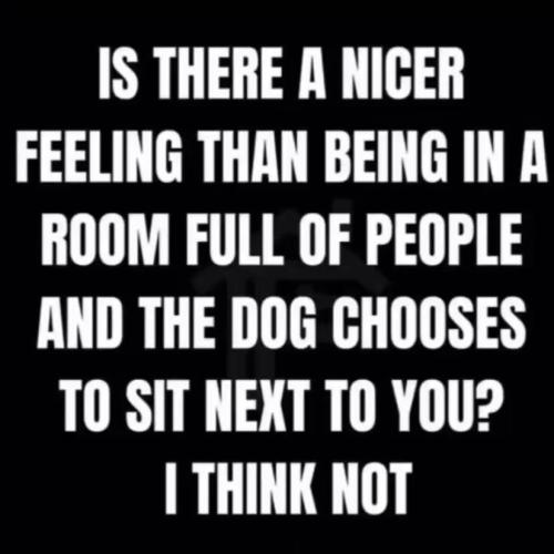 photo_2024-07-26_15-05-59