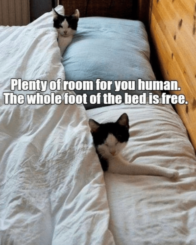 plenty-room-human-whole-foot-bed-is-free