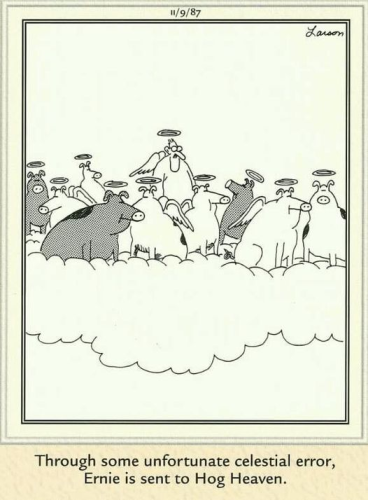 image_7000D80F-4B2B-463B-8447-591C16EC8C1B