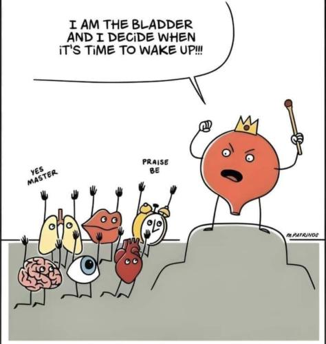 Screenshot_20240727_093943_Facebook