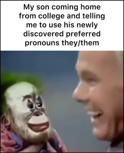 clown world education